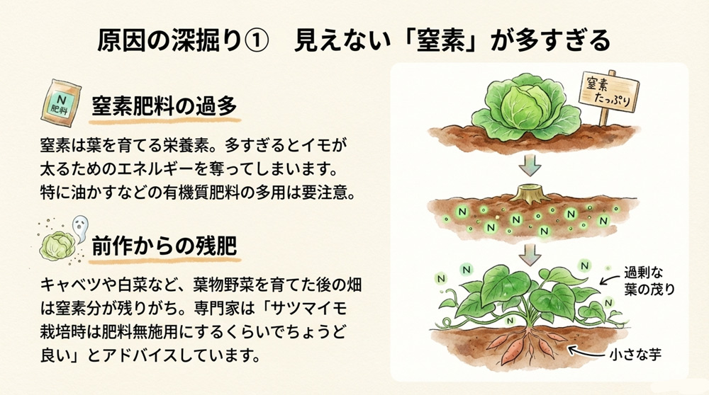 【原因1】窒素肥料の過多(肥料の効かせすぎ)