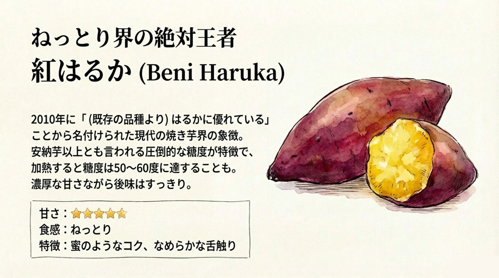 【ねっとり界の絶対王者】紅はるか