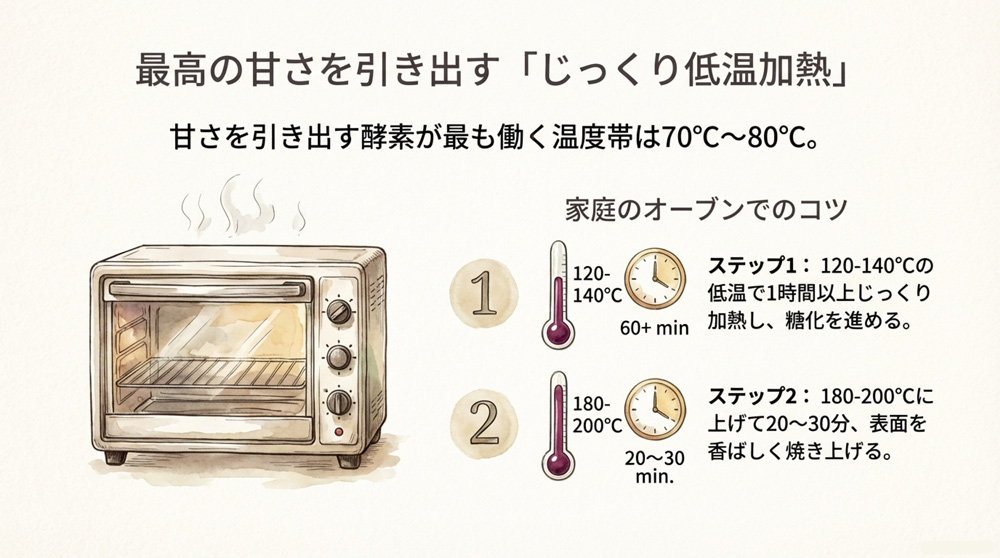 紅はるかの糖度が高くなる理由