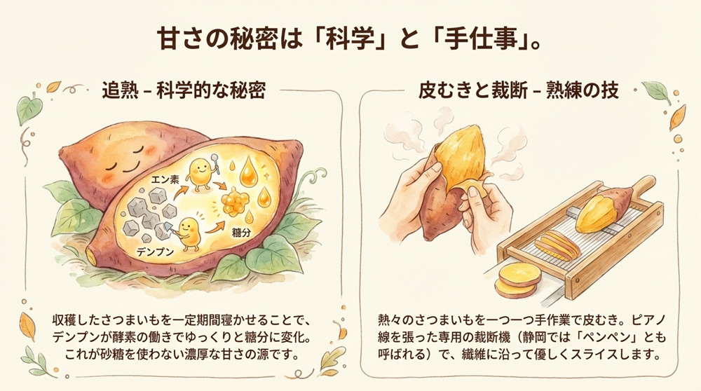 美味しい干し芋ができる秘密