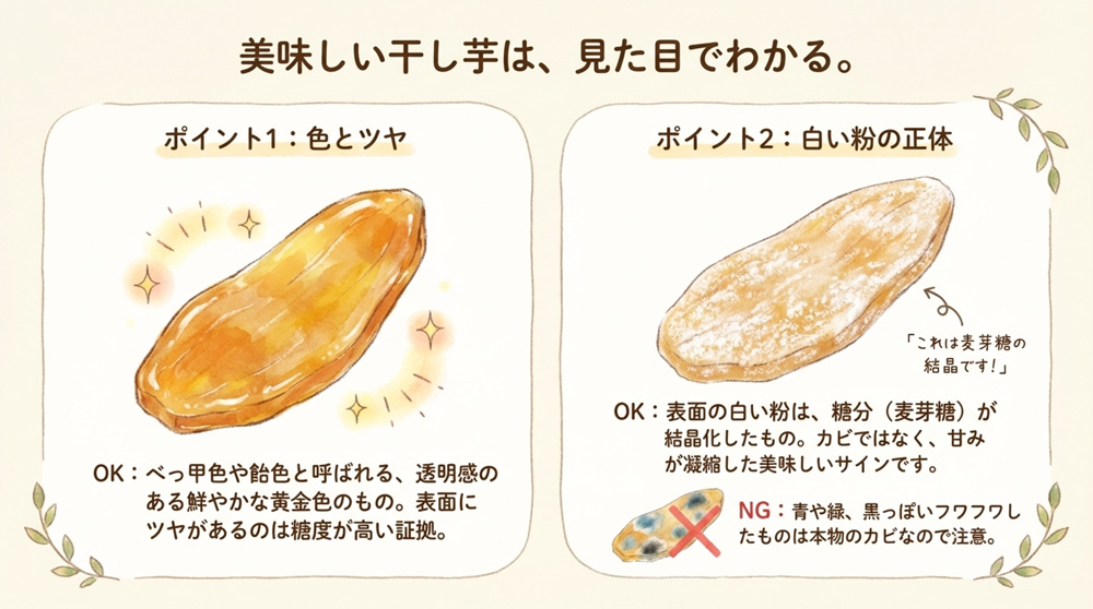 【選び方1】見た目で選ぶ