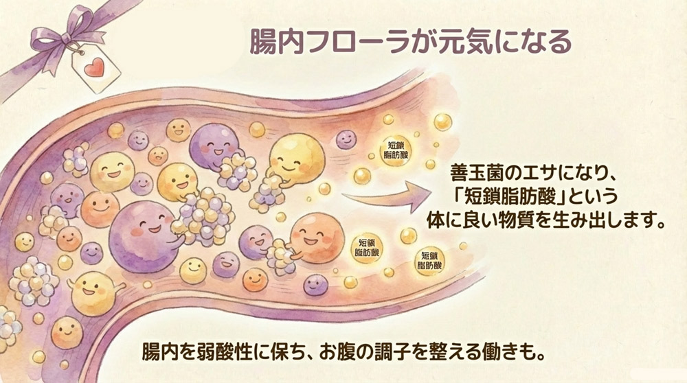 腸内環境の改善