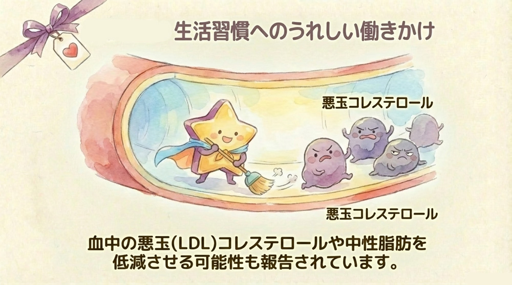 コレステロール・中性脂肪低下