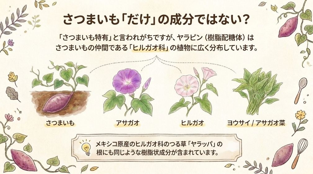 「さつまいもだけの成分」とは言えない理由