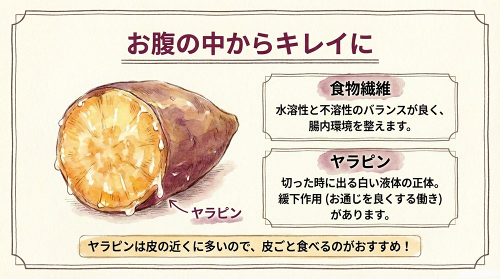 食物繊維とヤラピン