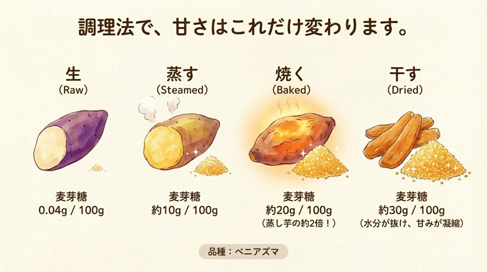 蒸し芋・焼き芋・干し芋の比較