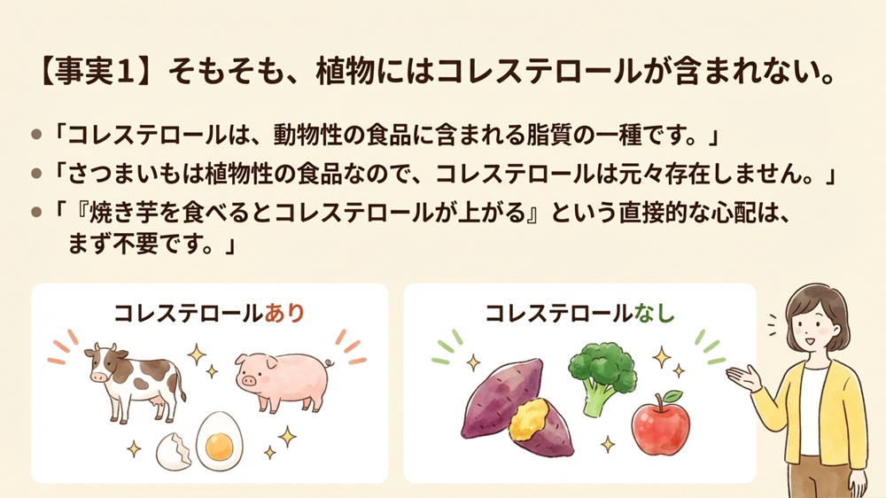 焼き芋自体にコレステロールはゼロ