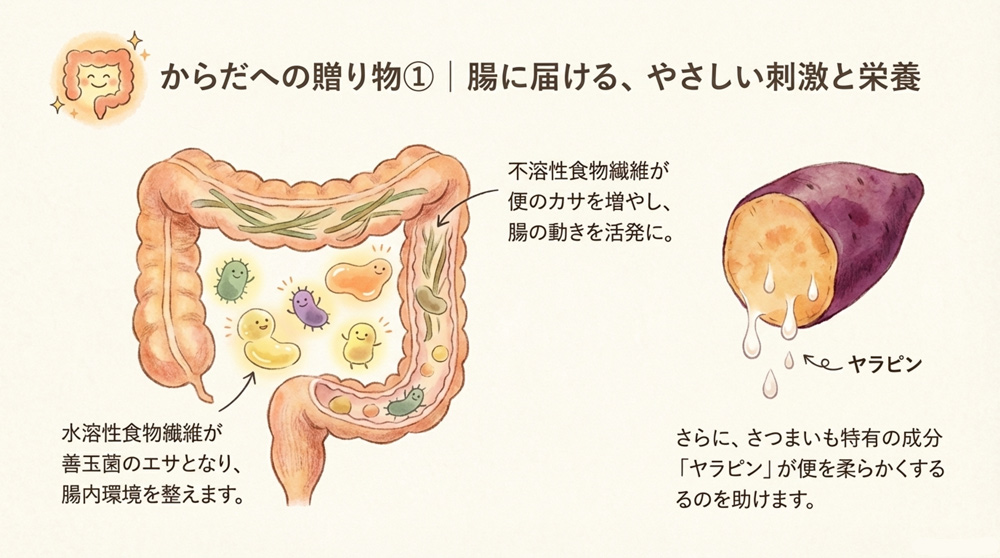 便秘改善と腸内フローラの改善