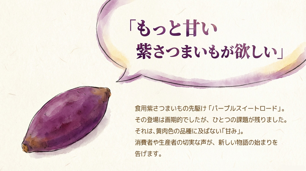 紫さつまいも「ふくむらさき」の特徴をわかりやすくご説明します