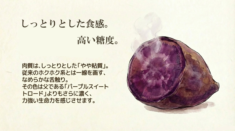 「べにはるか」に匹敵する糖度としっとりとした食感