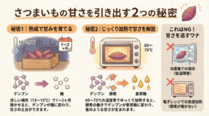 さつまいもの甘さの秘密|「熟成」「糊化」「糖化」とは