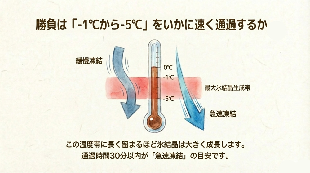 「最大氷結晶生成帯」とは