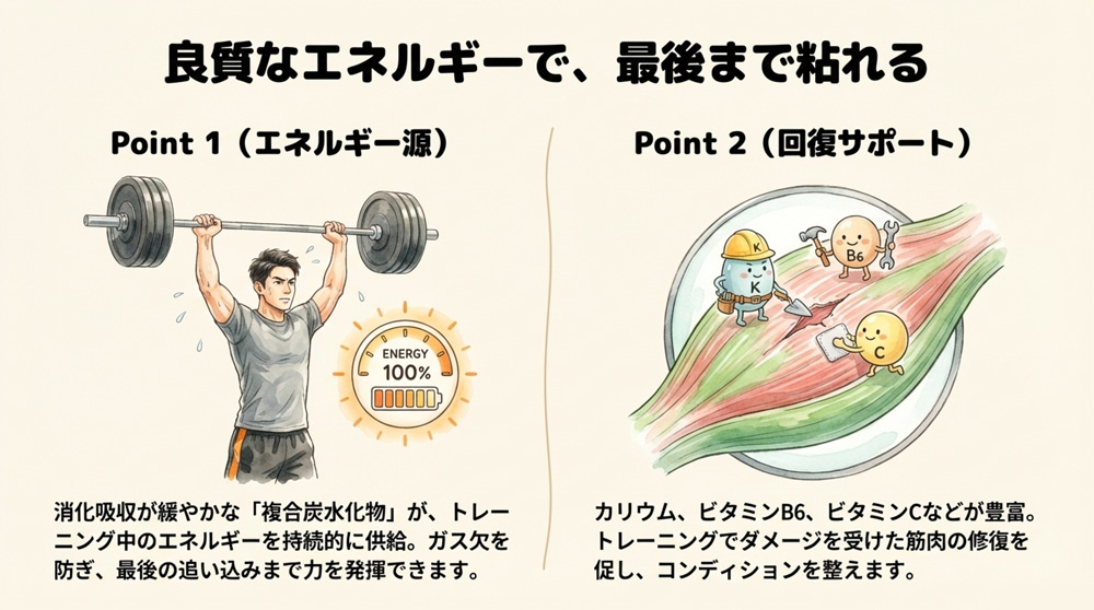 良質なエネルギー源