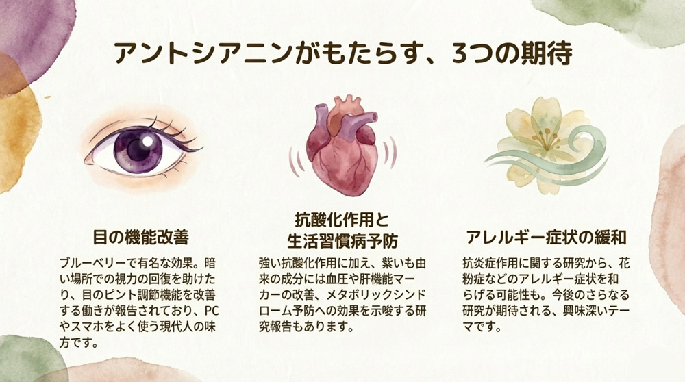 アントシアニンの効果