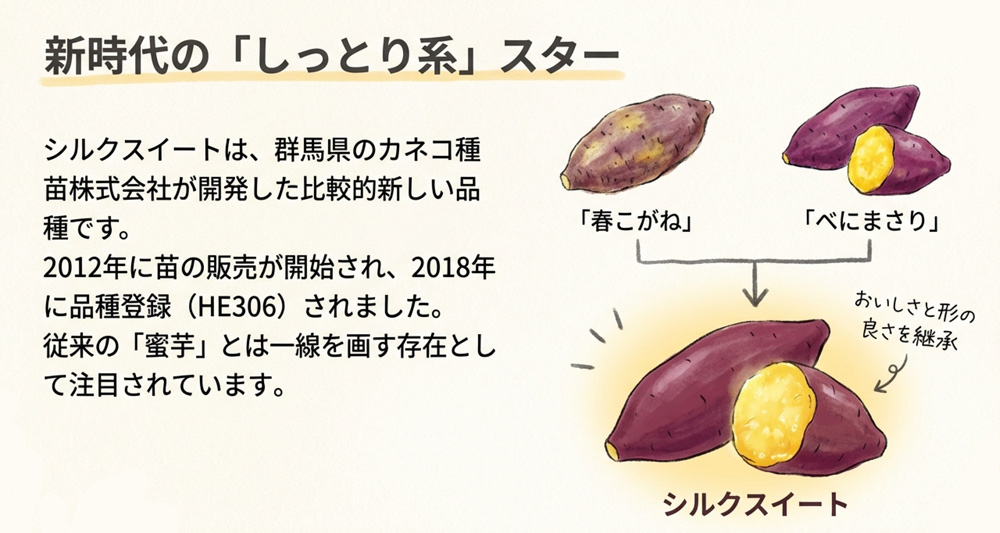 シルクスイートとは?