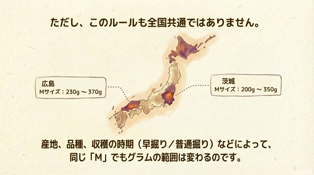 ルールは全国共通ではない