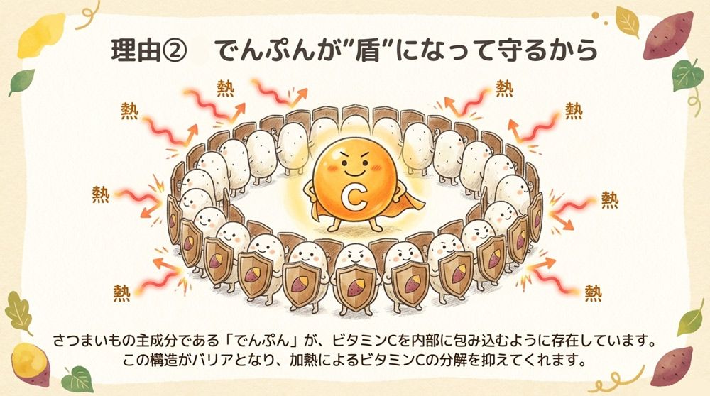 でんぷんによる保護効果