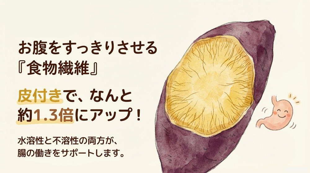 【食物繊維】皮付きで約1.3倍にアップ