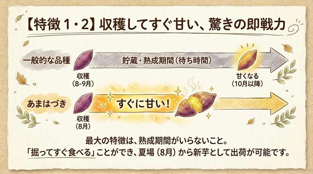 【特徴1】収穫時期が早い