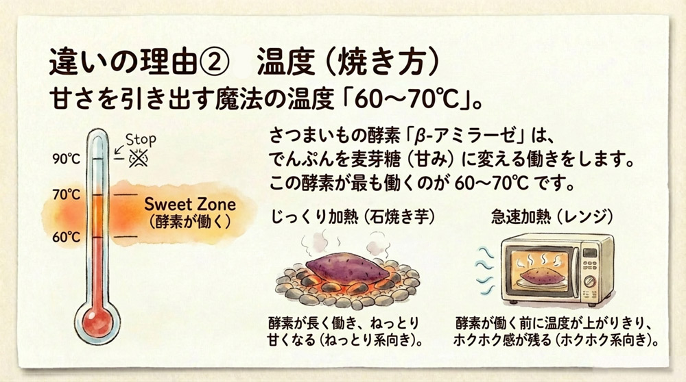 焼き方(温度)による甘さの違い