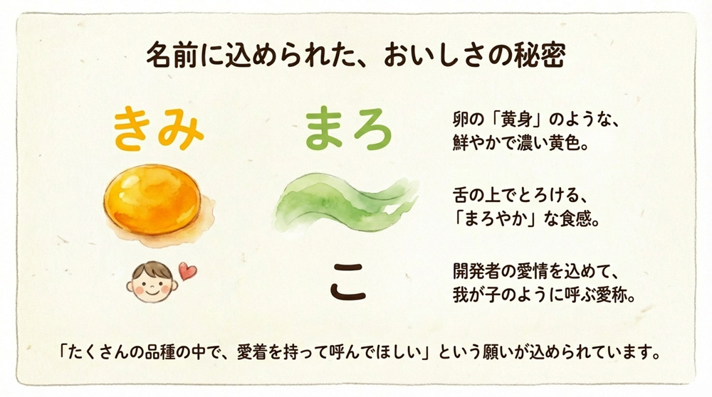 【名前の由来】「きみまろこ」に込めた意味