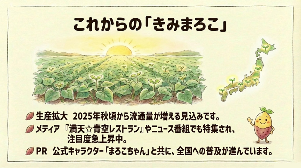 流通状況と今後の展望