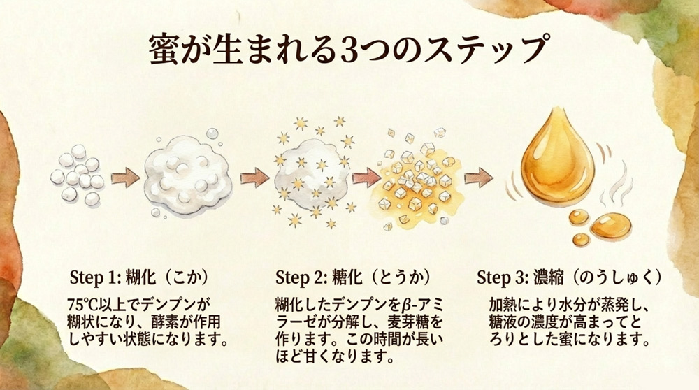 糊化・糖化・濃縮のプロセス