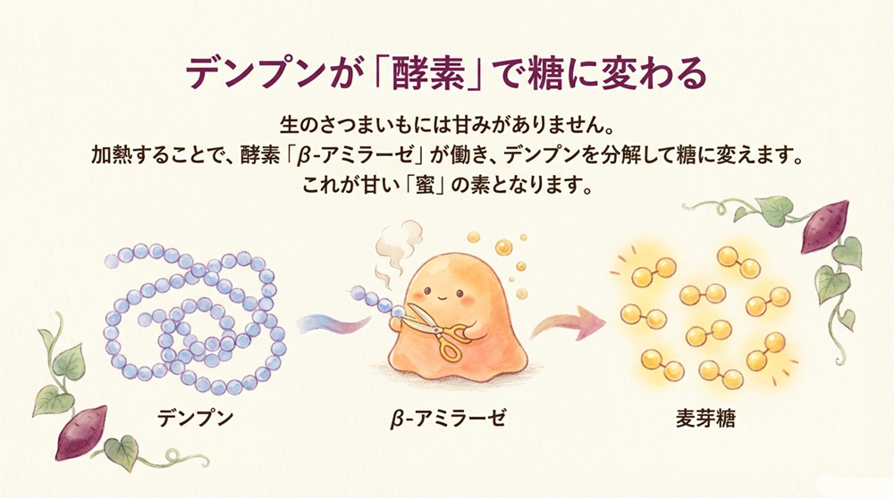 デンプンの糖化と酵素の働き