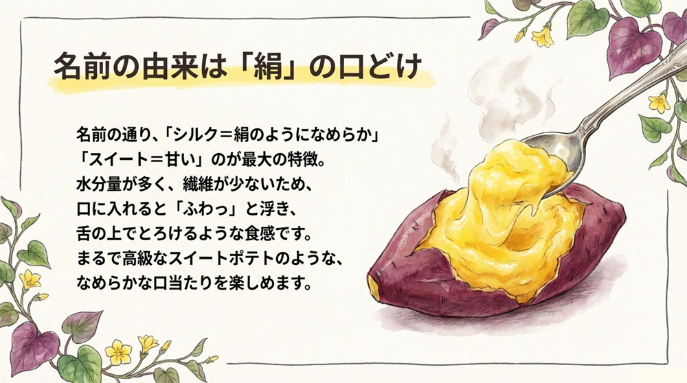 シルクスイートの食感と甘さの特徴