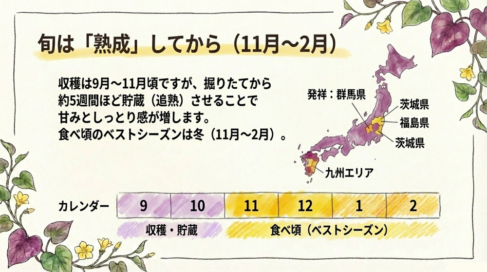 シルクスイートの旬と主な産地
