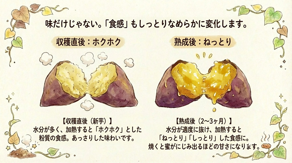 食感もしっとり