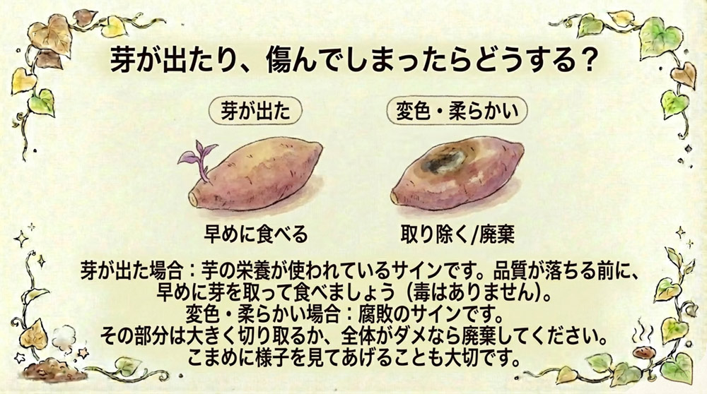 食べられる部分は調理してしまう