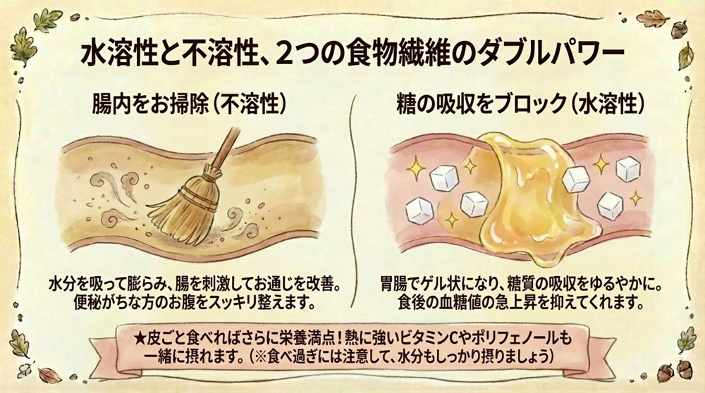 食物繊維には不溶性と水溶性の2種類があります