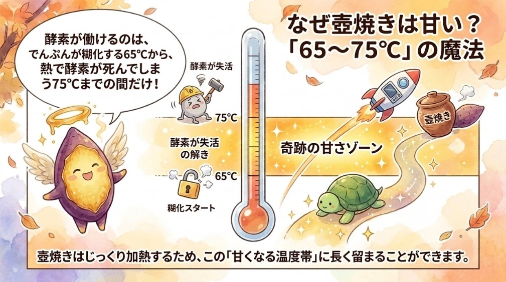 ゆっくり加熱できる焼き方が甘さにつながる