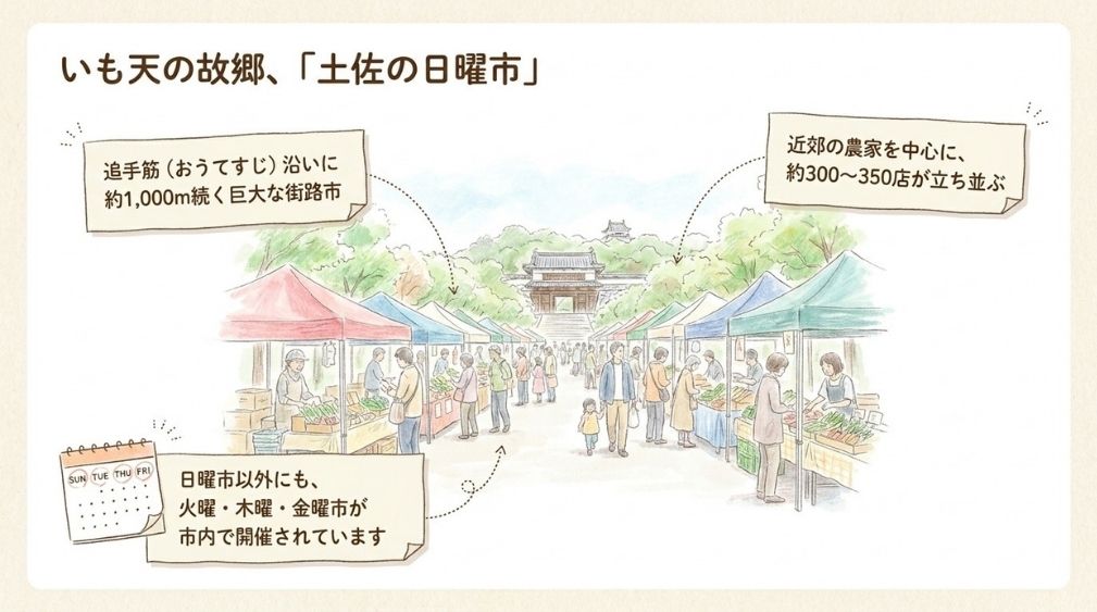 いも天で知られる土佐の日曜市|追手筋に約1,000m続く街路市